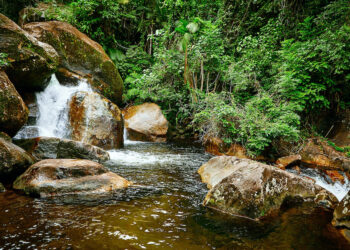Circuito Litoral Norte de São Paulo destaca 10 atrações para se conectar com a natureza nessa primavera