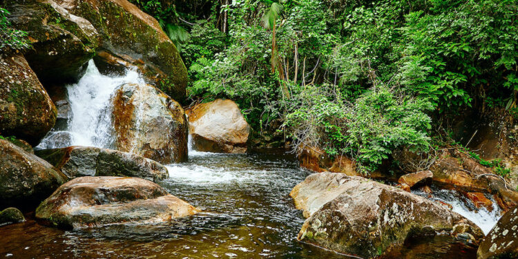Circuito Litoral Norte de São Paulo destaca 10 atrações para se conectar com a natureza nessa primavera