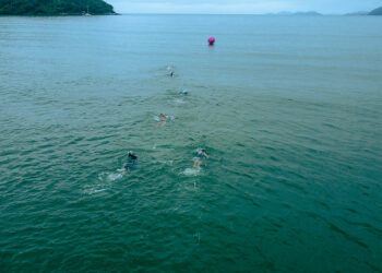 Circuito Paulista de Travessias Aquáticas acontece em Bertioga, no domingo (22)