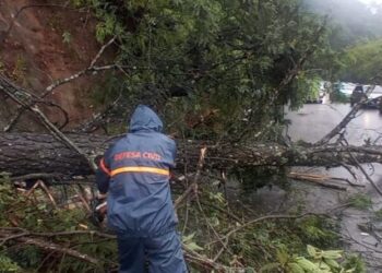 Serra do Jetuba já têm tráfego normalizado após queda de árvore