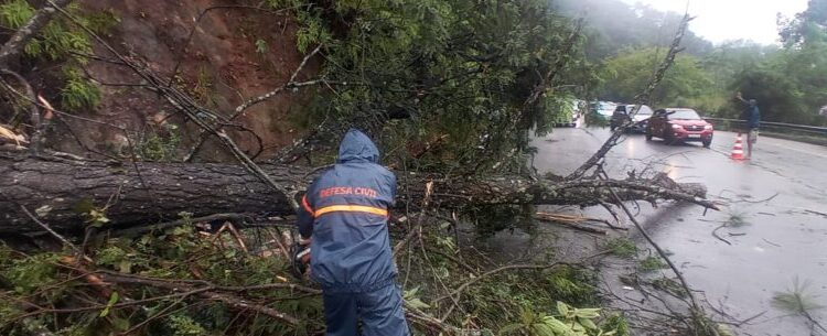 Serra do Jetuba já têm tráfego normalizado após queda de árvore