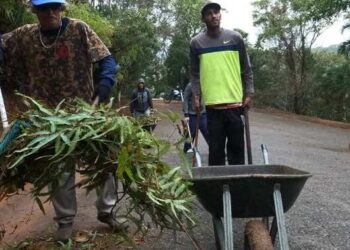 Prefeitura de Caraguatatuba aguarda mais 28 bolsistas do PEAD até quarta-feira