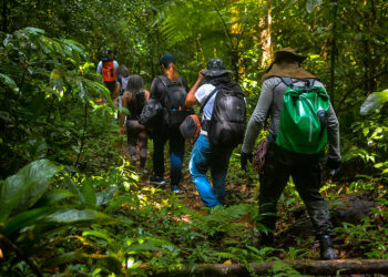 Prefeitura de Bertioga alerta sobre riscos de realizar trilhas sem condutores de turismo autorizados