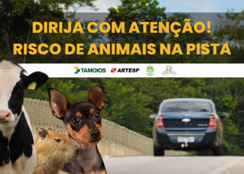Concessionária Tamoios reforça ações de conscientização sobre o risco de atropelamento de animais na rodovia