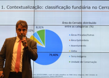 Campanha Cerrado alerta Ministério do Meio Ambiente para dado sobre terras privadas em programa de proteção contra desmatamento