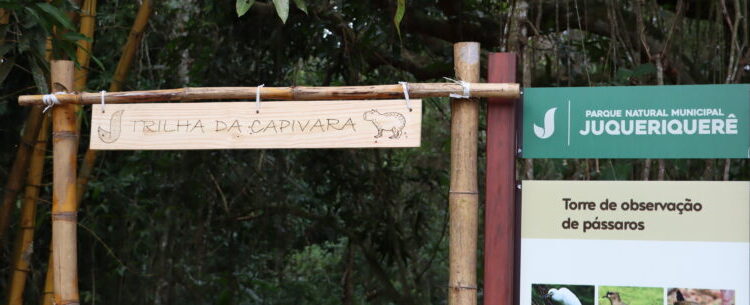 Parque Juqueriquerê terá trilha interligada de quase 1 km de extensão