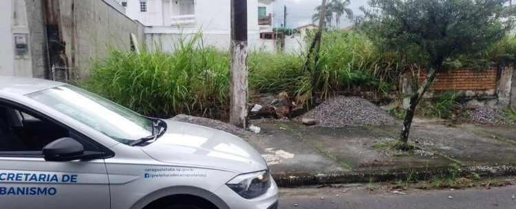 Fiscalização é reforçada em terrenos com mato alto e materiais depositados irregularmente