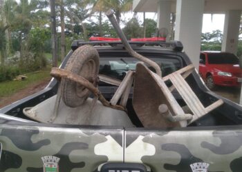 Fiscalização do DOA de Bertioga: apreensões e autuações em Áreas de Preservação Ambiental