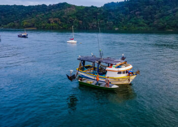 Bertioga realiza mutirão de cadastramento para o Programa Mar sem Lixo nesta sexta-feira, 10