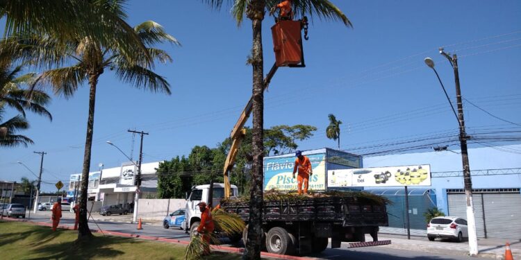 Cata Poda | Fique atento à programação para a próxima semana em Bertioga (SP)