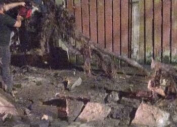 Rajadas de ventos provocam quedas de árvores em Caraguatatuba