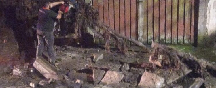 Rajadas de ventos provocam quedas de árvores em Caraguatatuba