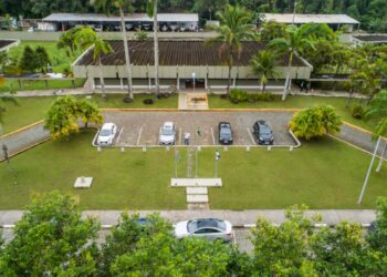 Feriado da Consciência Negra altera expediente dos serviços municipais em Bertioga 