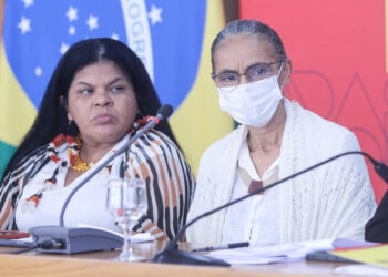 Desmatamento na Amazônia cai 22,3% entre agosto de 2022 e julho de 2023