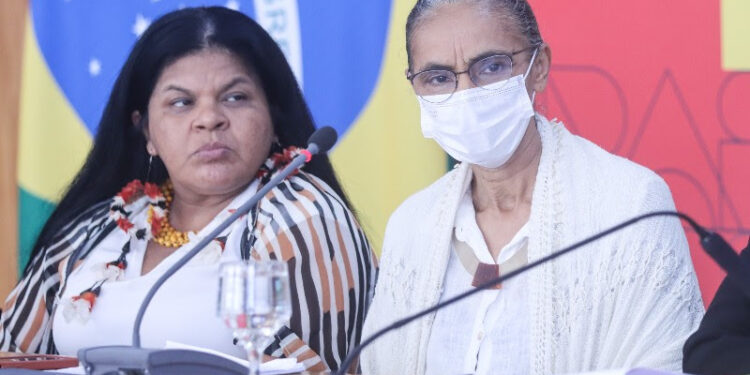 Desmatamento na Amazônia cai 22,3% entre agosto de 2022 e julho de 2023