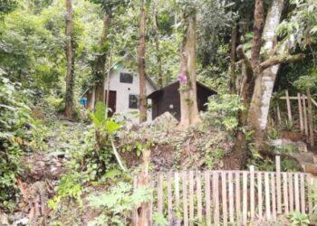 Prefeitura de Caraguatatuba e PM Ambiental realizam fiscalização contra desmatamento na Estrada do Rio Claro