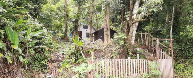 Prefeitura de Caraguatatuba e PM Ambiental realizam fiscalização contra desmatamento na Estrada do Rio Claro