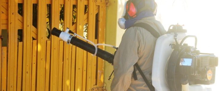 Disque Dengue atende 382 denúncias de focos do mosquito e Prefeitura reforça importância de eliminar criadouros