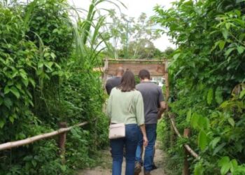 Conselho Gestor do Parque Juqueriquerê destaca avanços durante reunião