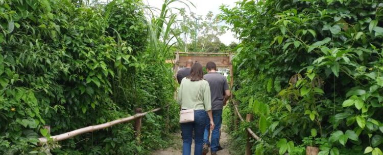 Conselho Gestor do Parque Juqueriquerê destaca avanços durante reunião