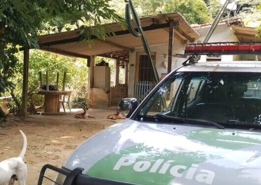 Prefeitura de Caraguatatuba e Polícia Militar Ambiental combatem obras irregulares em área de preservação