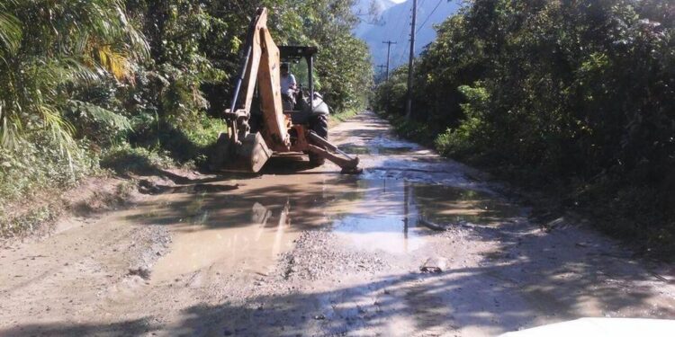 Ação conjunta resulta em melhorias no acesso às Terras Indígenas do Rio Silveira