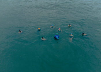 Cata Poda | Fique atento à programação para a próxima semana em Bertioga (SP)