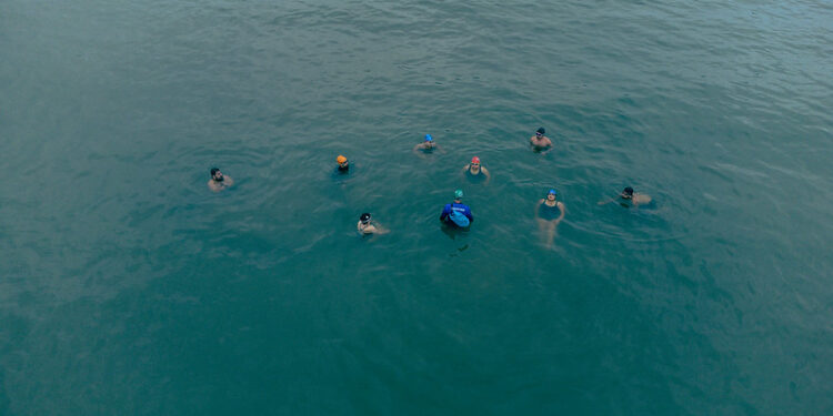 Cata Poda | Fique atento à programação para a próxima semana em Bertioga (SP)