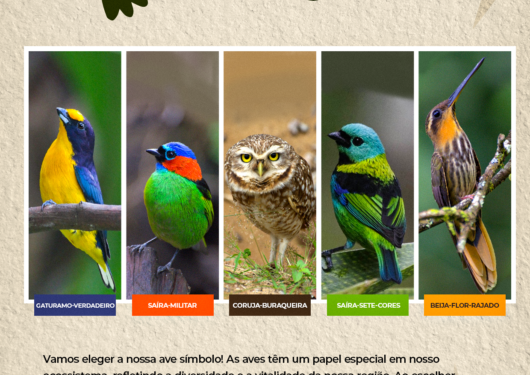 Eleição para definir a Ave Símbolo de Caraguatatuba já conta com mais de 1.280 votos