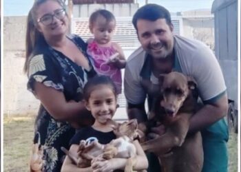 Cadela Wendy é o 100º animal adotado neste ano no CCZ de Caraguatatuba