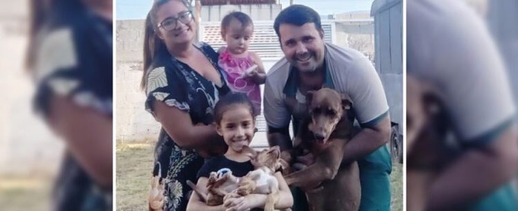 Cadela Wendy é o 100º animal adotado neste ano no CCZ de Caraguatatuba