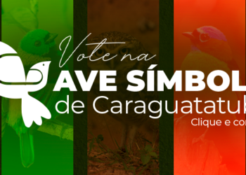 Prefeitura de Caraguatatuba abre eleição para Ave Símbolo da cidade