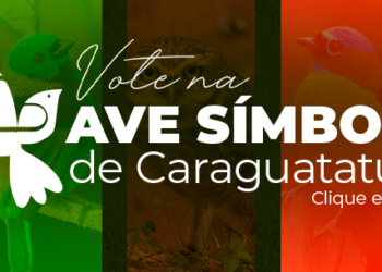Prefeitura de Caraguatatuba abre eleição para Ave Símbolo da cidade