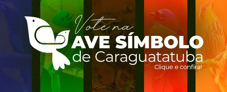 Prefeitura de Caraguatatuba abre eleição para Ave Símbolo da cidade