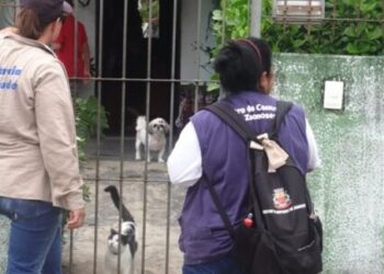 Prefeitura inicia primeira avaliação de densidade larvária para avaliar índices de infestação do mosquito Aedes aegypti