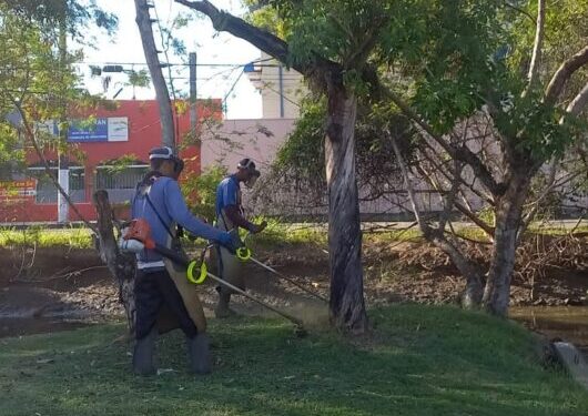 Prefeitura de Caraguatatuba convoca mais bolsistas do PEAD para manutenção urbana