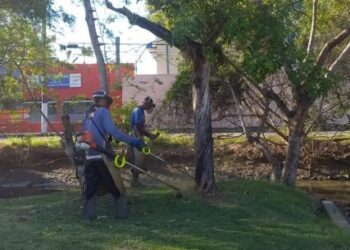 Prefeitura de Caraguatatuba convoca mais bolsistas do PEAD para manutenção urbana