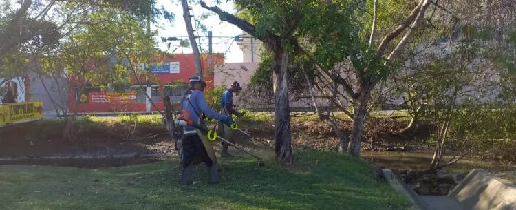 Prefeitura de Caraguatatuba convoca mais bolsistas do PEAD para manutenção urbana