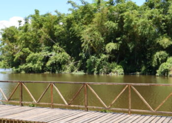 Parque Natural Juqueriquerê é opção de lazer para crianças durante as férias