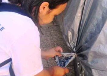 Caraguatatuba alerta para eliminação de criadouros contra dengue; cidade registra 30 casos neste ano