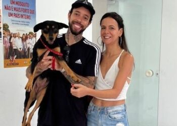 Dois animais são adotados em feira do CCZ e adoção segue durante a semana em Caraguatatuba