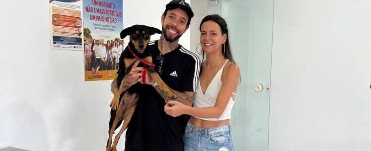 Dois animais são adotados em feira do CCZ e adoção segue durante a semana em Caraguatatuba