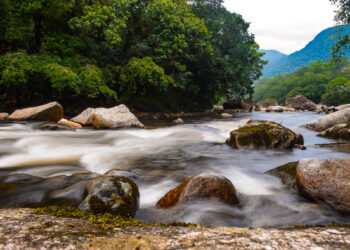 Ecoturismo em Bertioga atrai visitantes e amantes da natureza durante as férias de janeiro