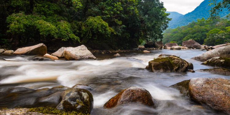 Ecoturismo em Bertioga atrai visitantes e amantes da natureza durante as férias de janeiro