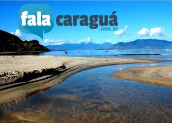 GALERIA DE FOTOS –