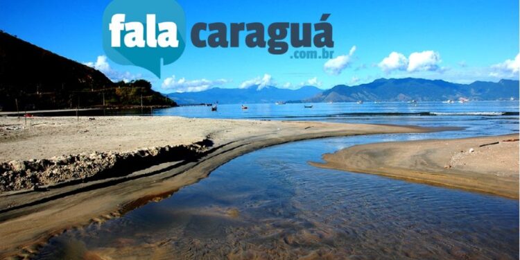 GALERIA DE FOTOS –