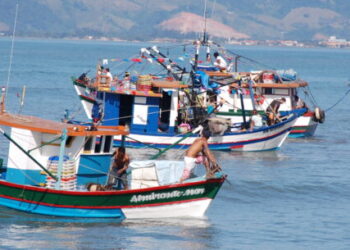 Prefeitura de Caraguatatuba alerta sobre período de defeso do camarão