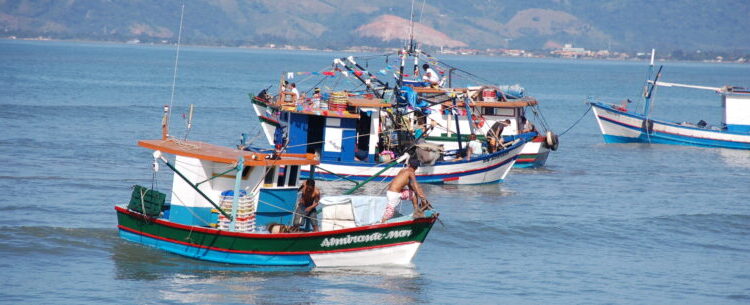 Prefeitura de Caraguatatuba alerta sobre período de defeso do camarão