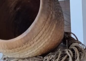 Exposição Percurso no Parque Natural Municipal Juqueriquerê