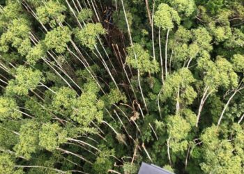 Helicóptero que desapareceu com 4 pessoas em SP é encontrado em Paraibuna após 12 dias de buscas